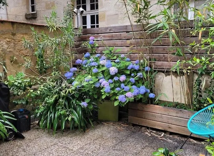 Appartemment Terrasse Parking Centre Historique Apartman